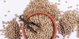 Čočka a její vlastnosti