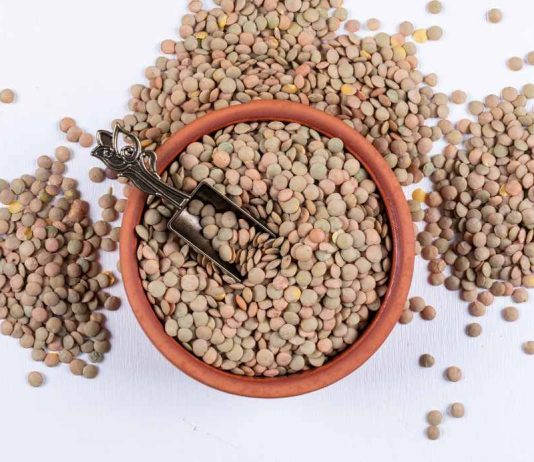 Čočka a její vlastnosti