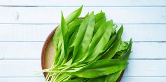 Medvědí česnek zatočí a depresí i zaneseným organismem