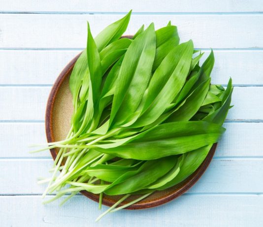 Medvědí česnek zatočí a depresí i zaneseným organismem