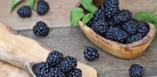 Rychlá, zdravá a ostružinová snídaně