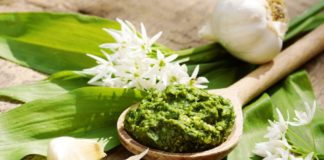 Supersilné pesto z medvědího česneku s oříšky a parmazánem