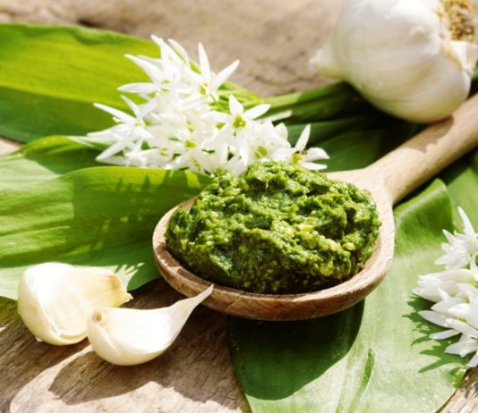 Supersilné pesto z medvědího česneku s oříšky a parmazánem